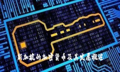 新加坡的加密货币及其发展概述