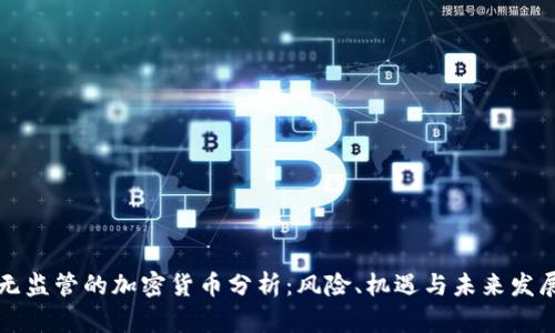 无监管的加密货币分析:风险、机遇与未来发展
