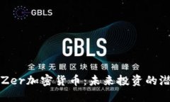 深入了解Zer加密货币：未