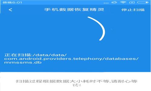 如何下载和使用TPT钱包:详细指南