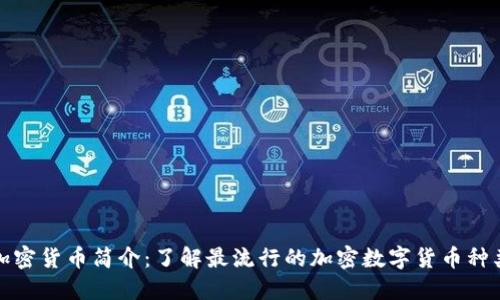 加密货币简介:了解最流行的加密数字货币种类
