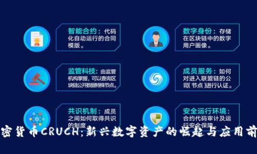 加密货币CRUCH:新兴数字资产的崛起与应用前景