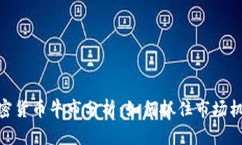 加密货币牛市分析:如何抓住市场机遇