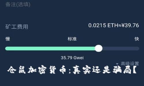 仓鼠加密货币:真实还是骗局?