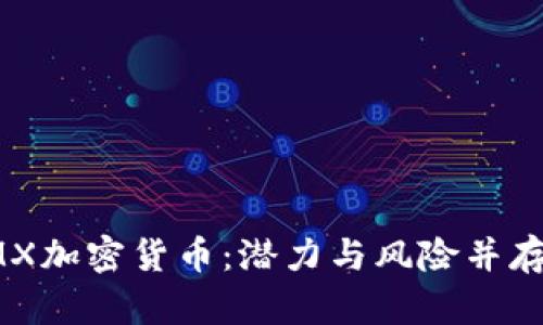 深入了解TMX加密货币:潜力与风险并存的投资选择