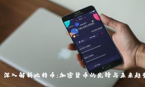 : 深入解析比特币:加密货币的先锋与未来趋势