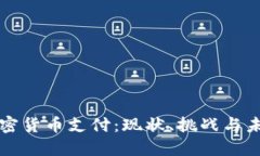 中国加密货币支付：现状
