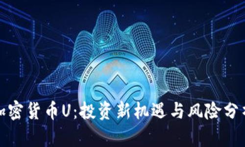 加密货币U:投资新机遇与风险分析