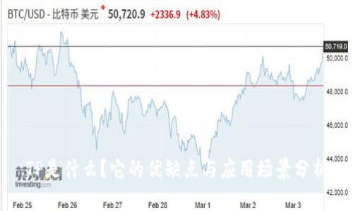 TP是什么？它的优缺点与应用场景分析