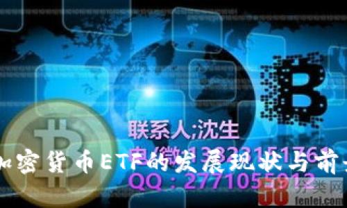 国内加密货币ETF的发展现状与前景分析