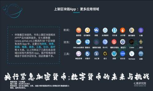 央行紧急加密货币:数字货币的未来与挑战