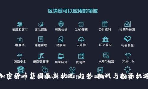 加密货币集团最新状况:趋势、挑战与投资机遇