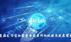 美国支付宝加密货币交易