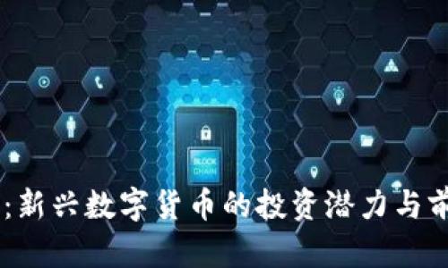 TPCH币:新兴数字货币的投资潜力与前景分析