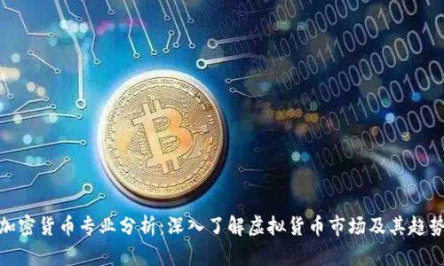加密货币专业分析:深入了解虚拟货币市场及其趋势