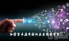 加密货币在中国的未来前