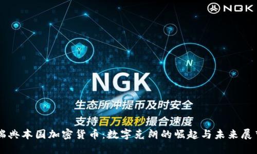 瑞典本国加密货币:数字克朗的崛起与未来展望