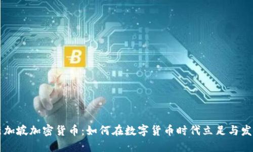 新加坡加密货币:如何在数字货币时代立足与发展