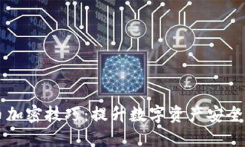 深入了解货币加密技巧:提升数字资产安全性的实用指南