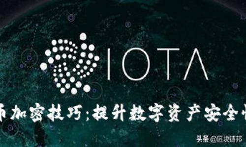深入了解货币加密技巧:提升数字资产安全性的实用指南