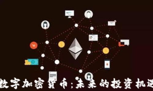 元宇宙数字加密货币:未来的投资机遇与挑战