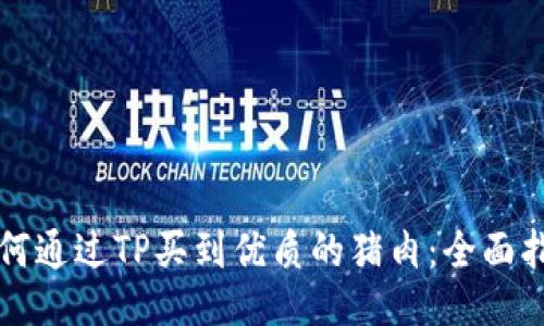 如何通过TP买到优质的猪肉：全面指南