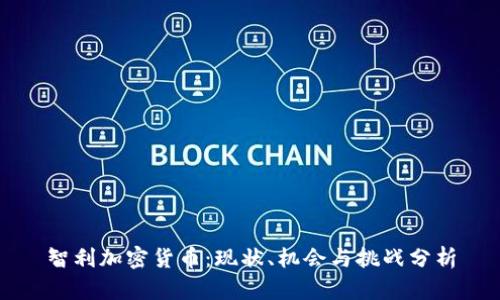 智利加密货币:现状、机会与挑战分析