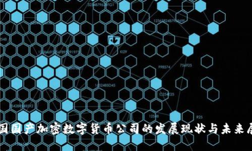 中国国产加密数字货币公司的发展现状与未来展望