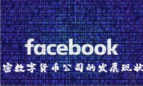 中国国产加密数字货币公司的发展现状与未来展望