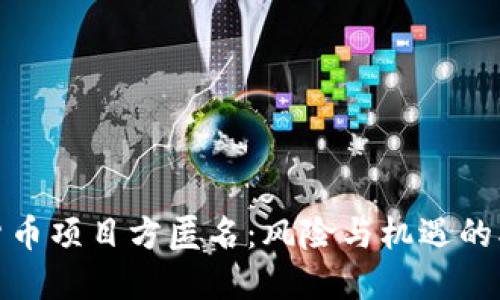 加密货币项目方匿名:风险与机遇的双刃剑