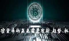 : 虚拟加密货币的未来前景