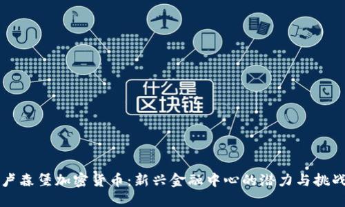 卢森堡加密货币:新兴金融中心的潜力与挑战