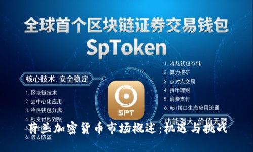 荷兰加密货币市场概述:机遇与挑战