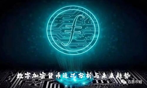 数字加密货币近况分析与未来趋势
