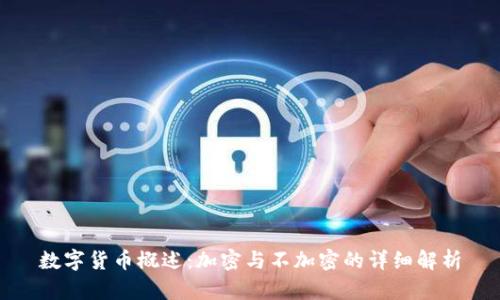 数字货币概述:加密与不加密的详细解析