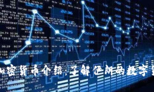 : 伊朗加密货币介绍:了解伊朗的数字货币发展