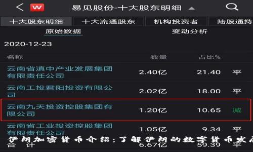 : 伊朗加密货币介绍:了解伊朗的数字货币发展
