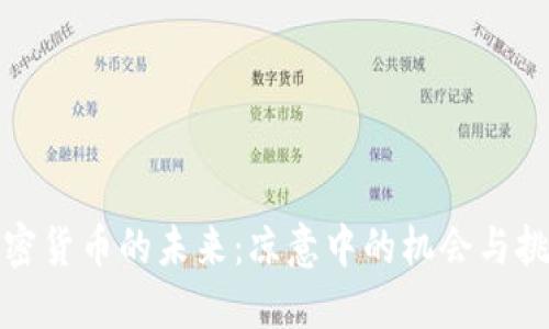 加密货币的未来:凉意中的机会与挑战