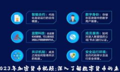 2023年加密货币视频：深入