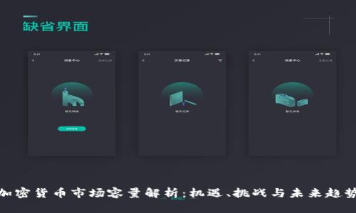 加密货币市场容量解析:机遇、挑战与未来趋势
