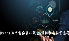 如何在iPhone上下载安装T