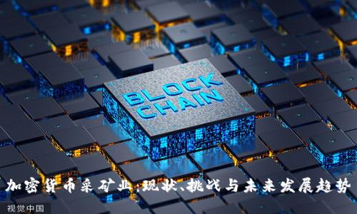 加密货币采矿业:现状、挑战与未来发展趋势