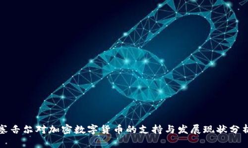 塞舌尔对加密数字货币的支持与发展现状分析