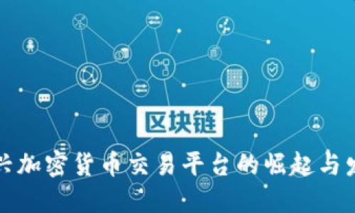 美国新兴加密货币交易平台的崛起与发展趋势