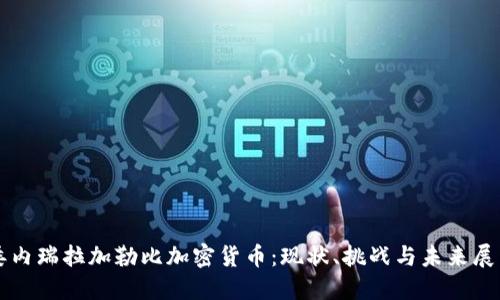 委内瑞拉加勒比加密货币：现状、挑战与未来展望
