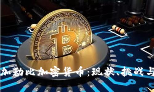 委内瑞拉加勒比加密货币：现状、挑战与未来展望
