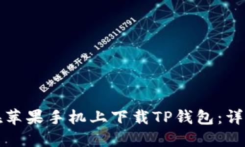 如何在苹果手机上下载TP钱包：详细指南