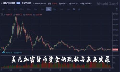 美元加密货币资金的现状与未来发展