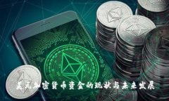 美元加密货币资金的现状