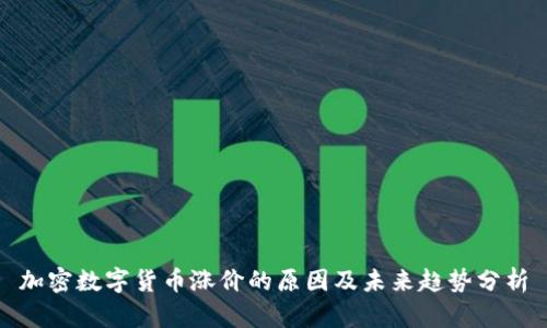 加密数字货币涨价的原因及未来趋势分析